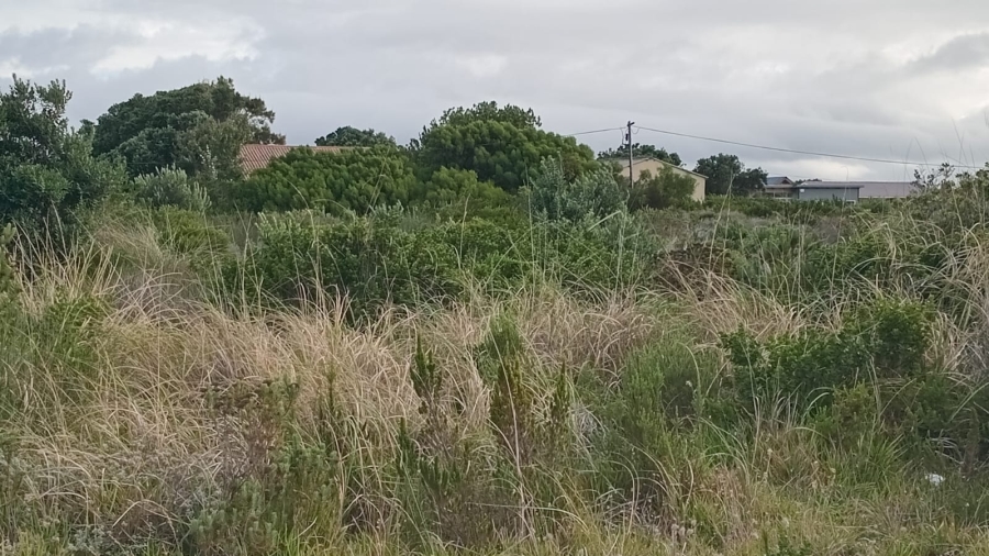 0 Bedroom Property for Sale in Bettys Bay Western Cape